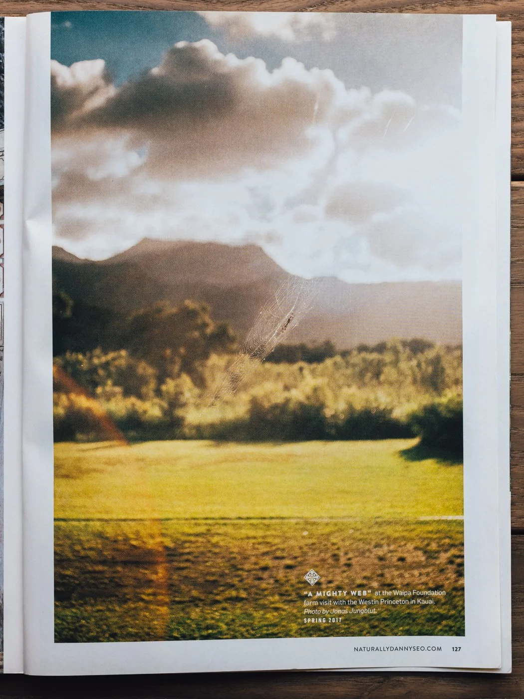 Sunlit landscape with a grassy field, trees, mountains in the distance, and stormy clouds overhead, featuring a spider web with dew in the foreground. Text indicates a farm visit at the Waipa Foundation and a photo credit to Jonas Jungblut.