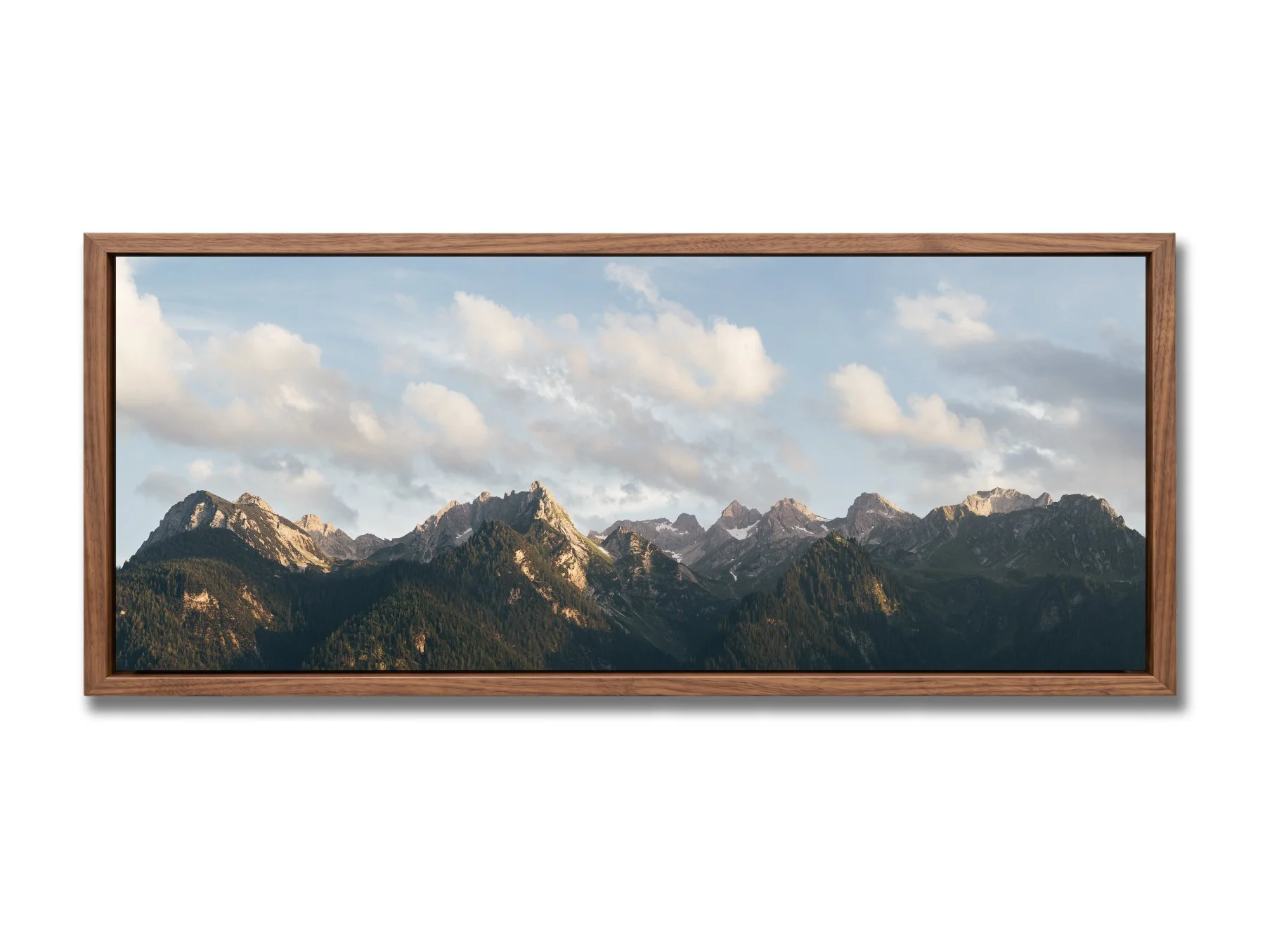 walnut_float_50x20_5.jpg
