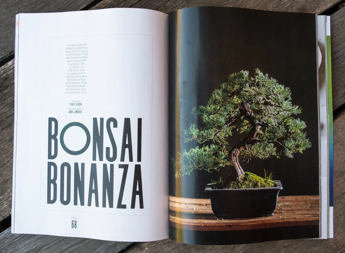 jungblut_tearsheet_210302_0019_.jpg