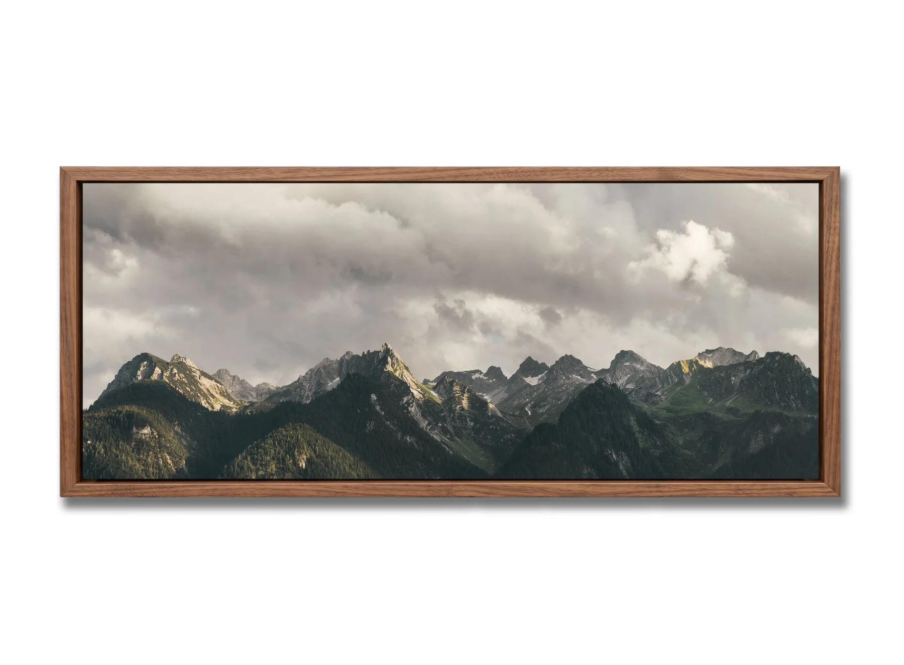 walnut_float_50x20_4.jpg