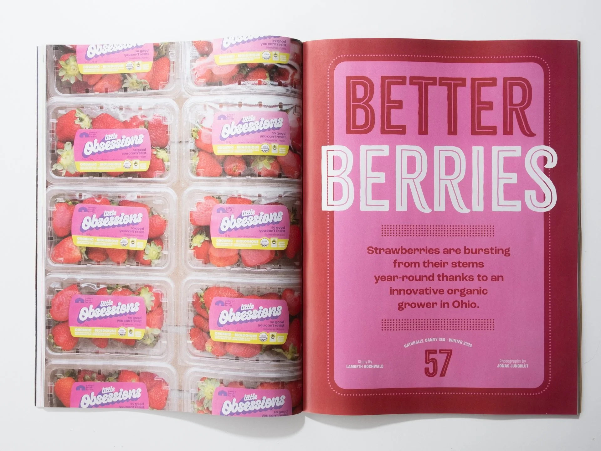 Better Berries for Naturally Danny Seo Magazine