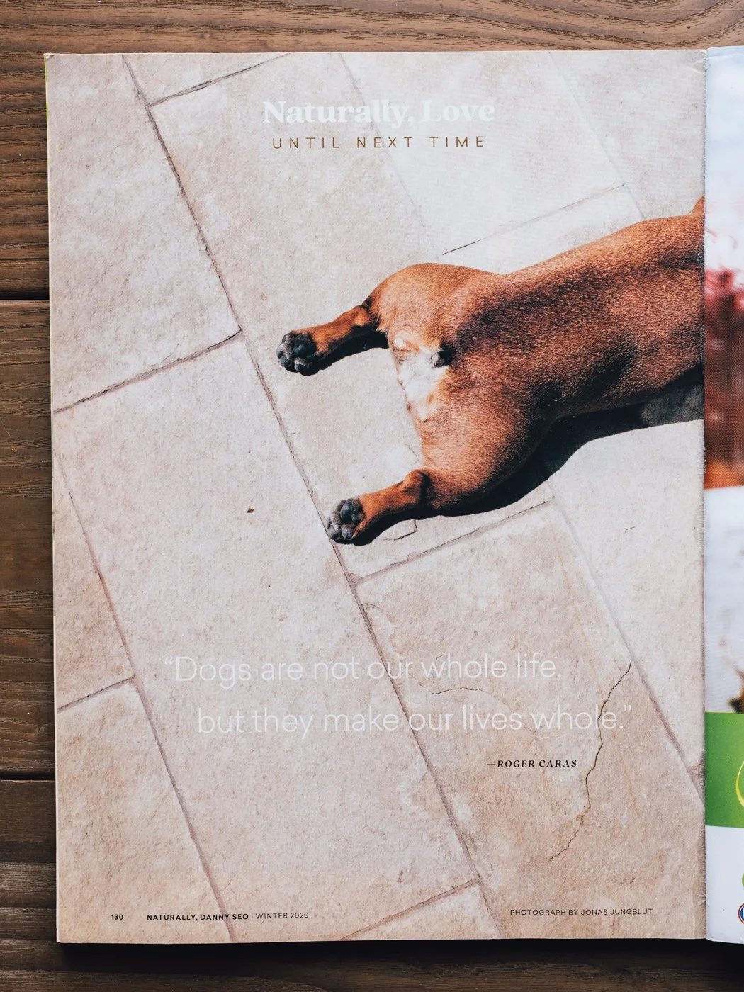A magazine page showing the hind part of a brown dog lying on a tiled floor. The page contains a quote by Roger Caras and the magazine title, Naturally, Love.