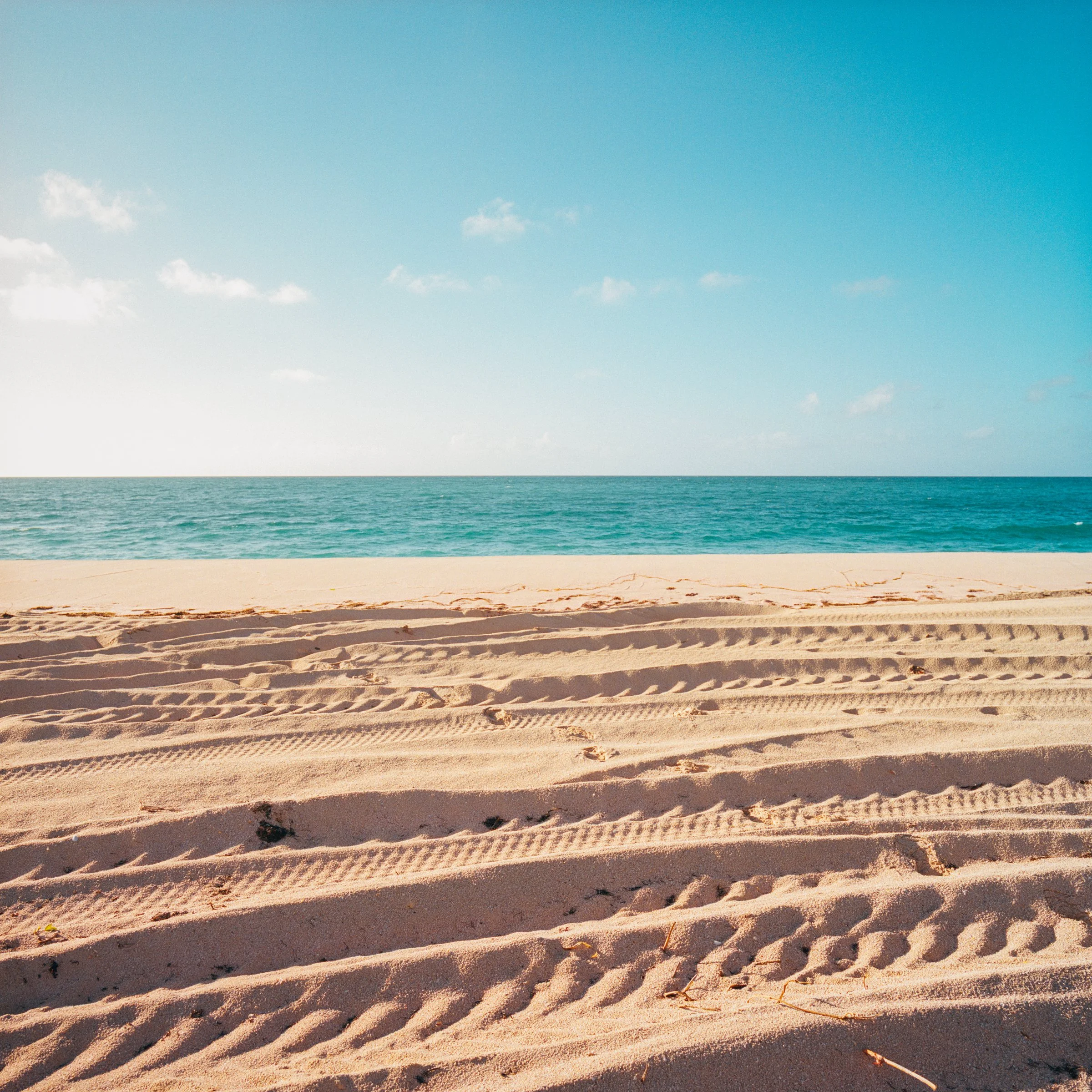 jungblut_barbuda_01.jpg