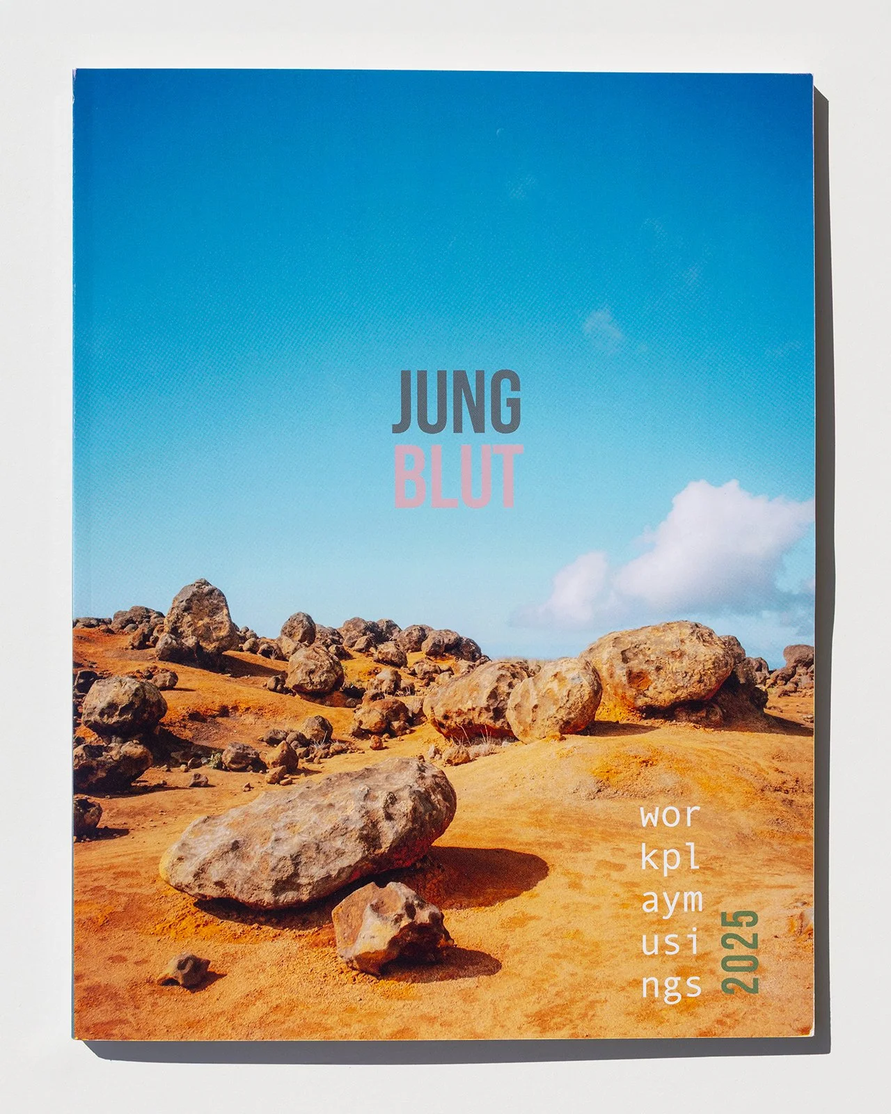 Cover of a book titled 'JUNG BLUT' with a desert landscape and scattered rocks under a clear blue sky.