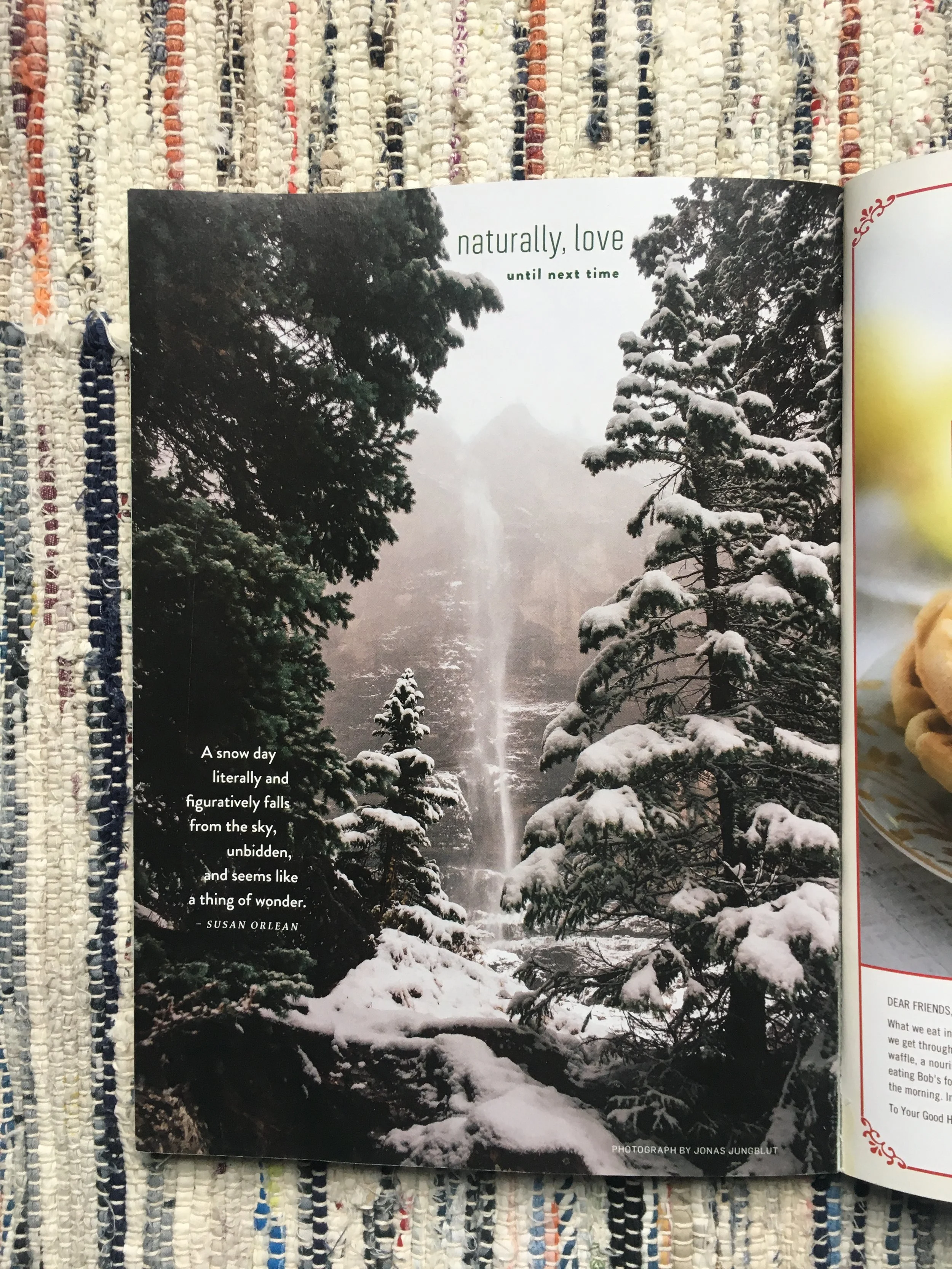 jungblut_tearsheet_224.JPG