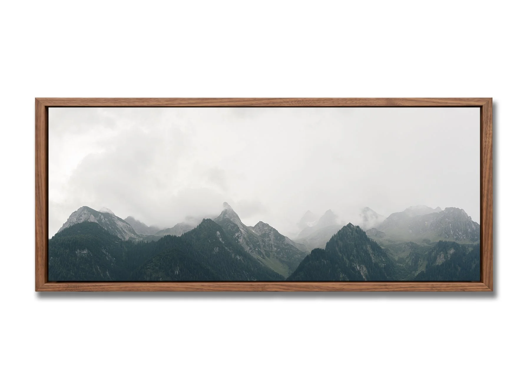 walnut_float_50x20_2.jpg