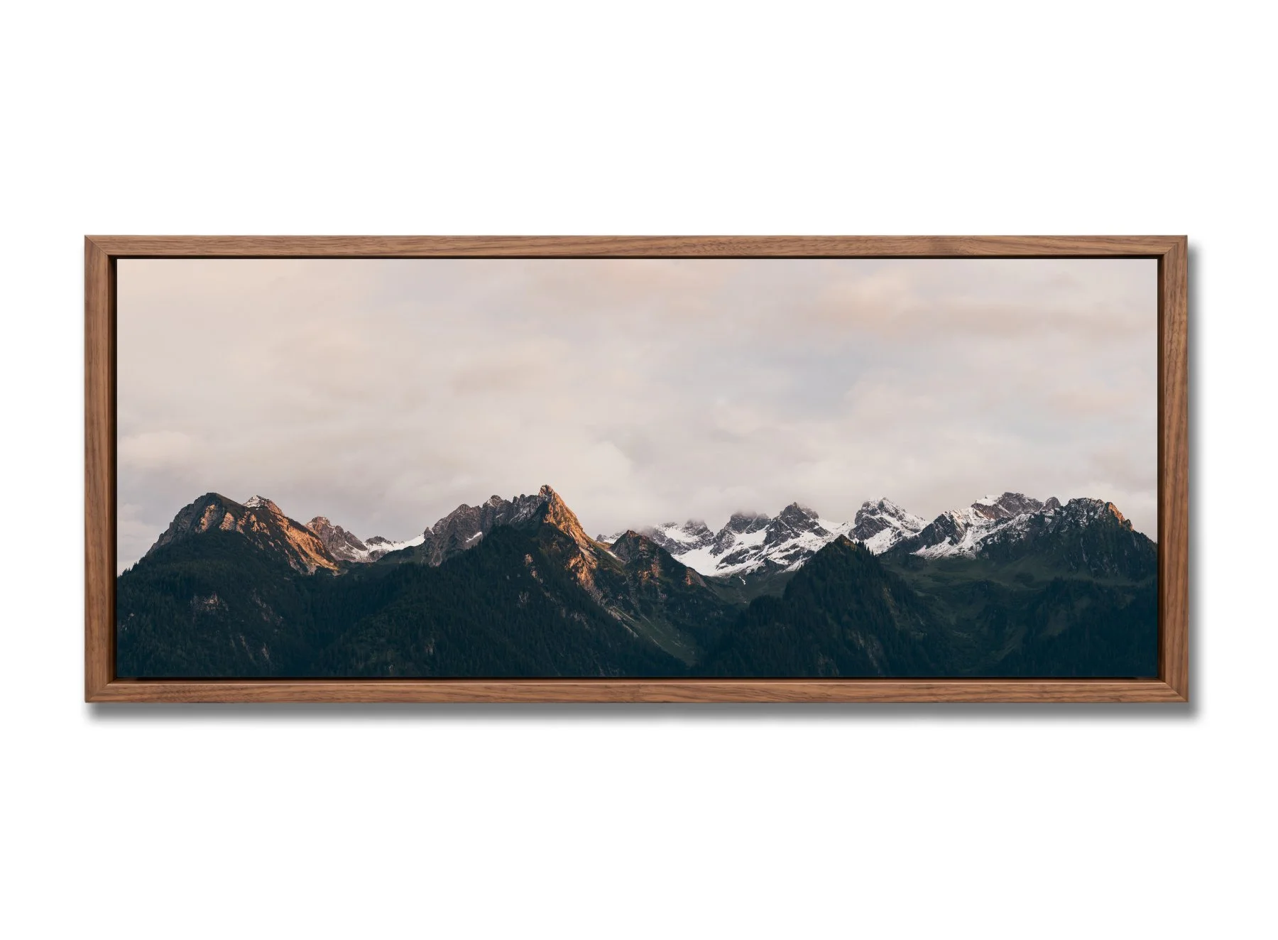 walnut_float_50x20_3.jpg