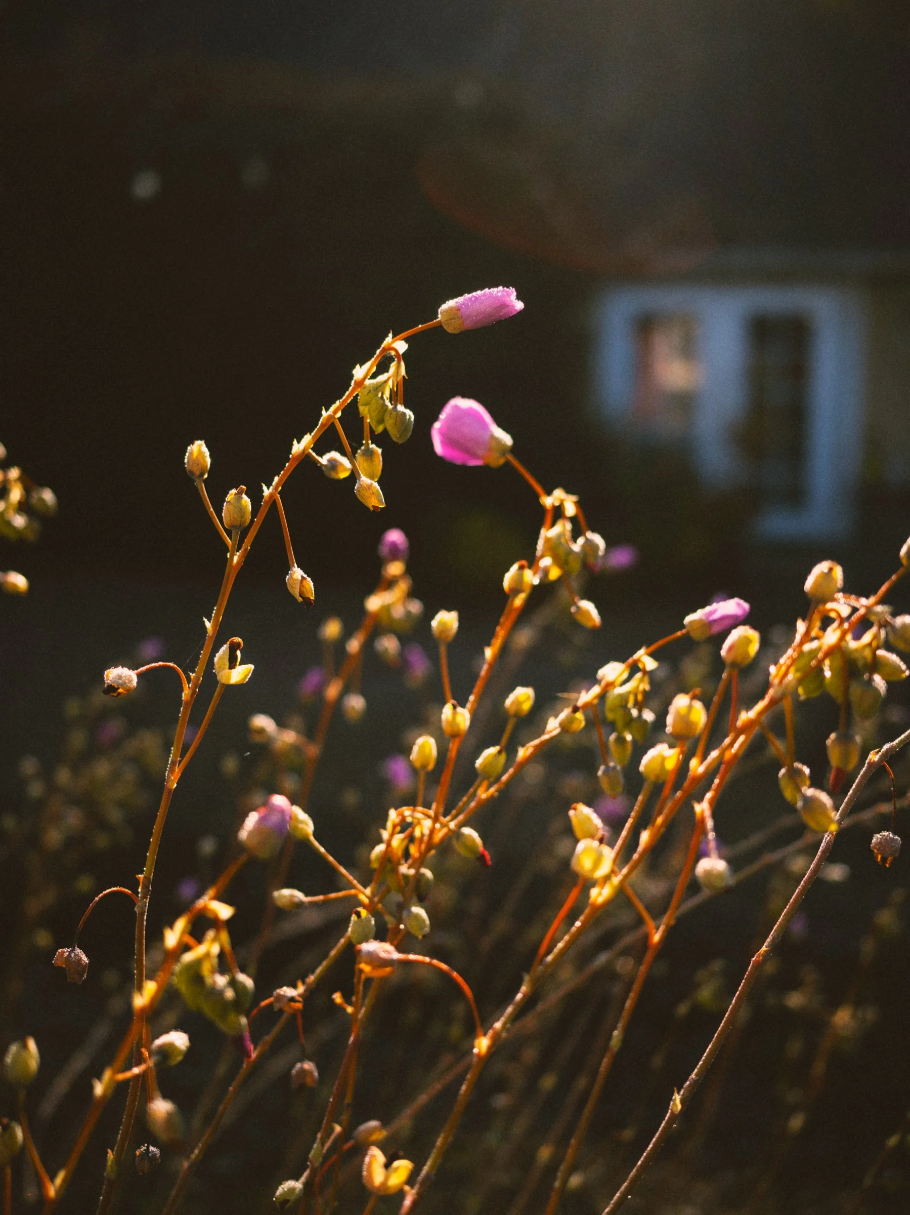 jungblut_photography_051.jpg