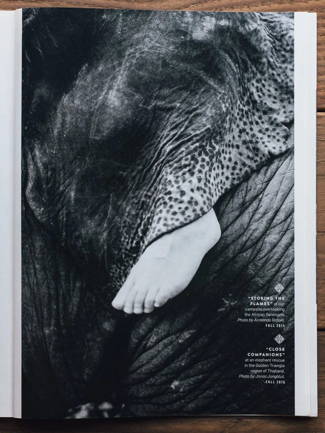 A black and white photograph showing the close-up of an elephant's trunk with a small, light-colored foot resting on it. The photo highlights the textured skin of the elephant and the delicate foot. There are captions and credits in the bottom right 