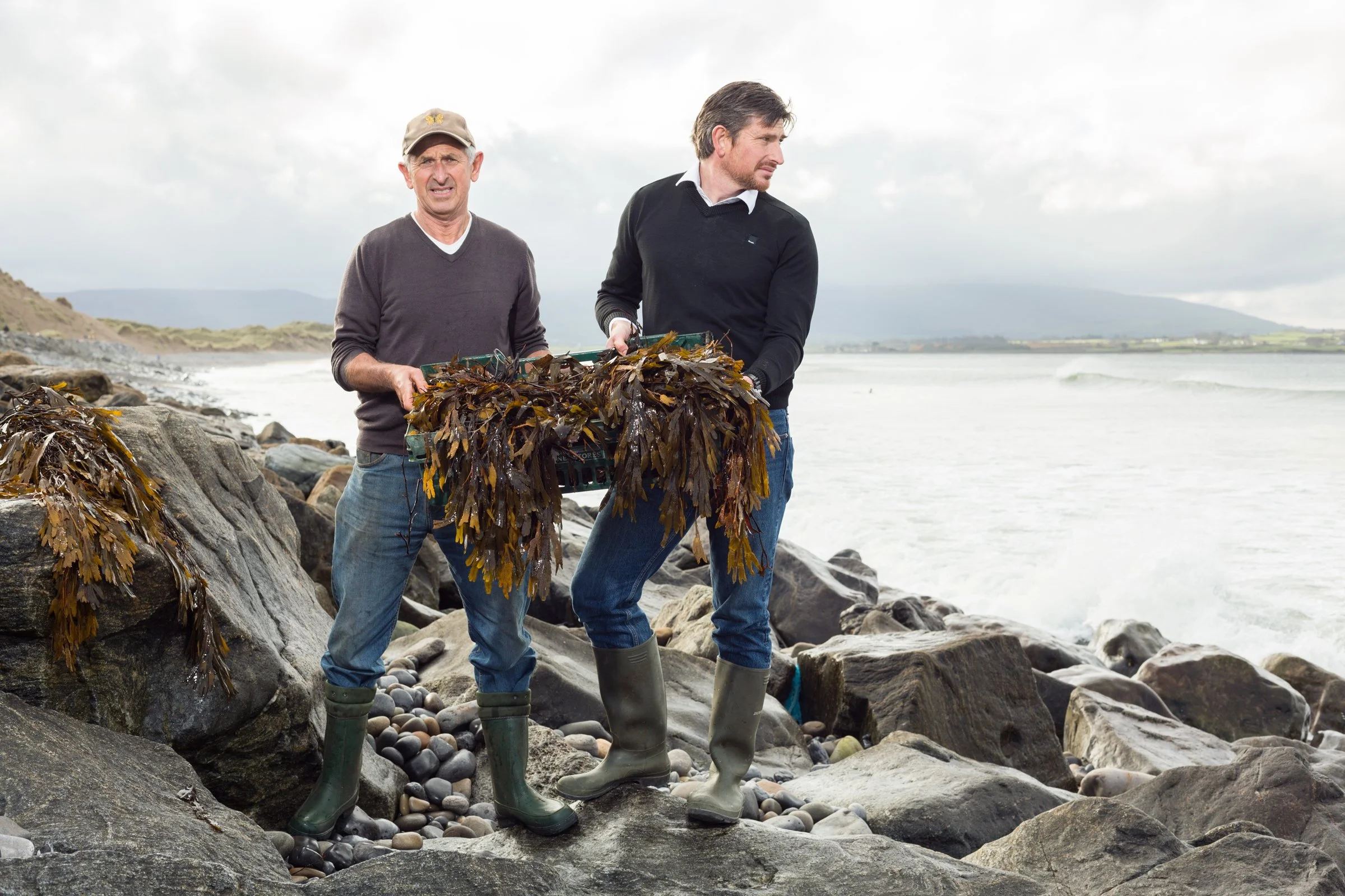 Two men, one older and one younger, are walking on rocky beach shoreline with seaweed and rocks, carrying a crate of seaweed, dressed in casual outdoor clothing, with sea and cloudy sky in the background.