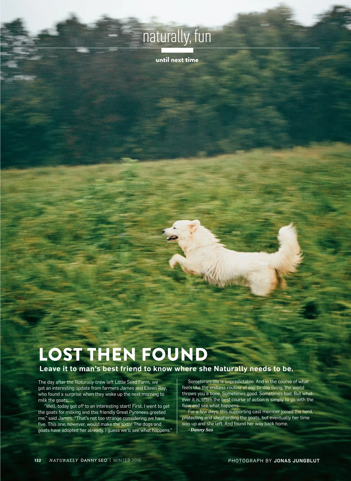 jungblut_tearsheet_246.jpg