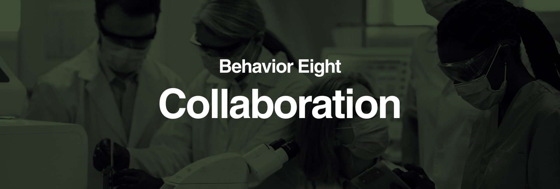 Behavior eight of successful teams: Collaboration