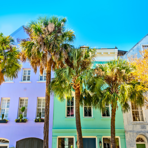 Colorful historic buildings and tall palm trees in downtown Charleston, South Carolina under a bright blue sky.