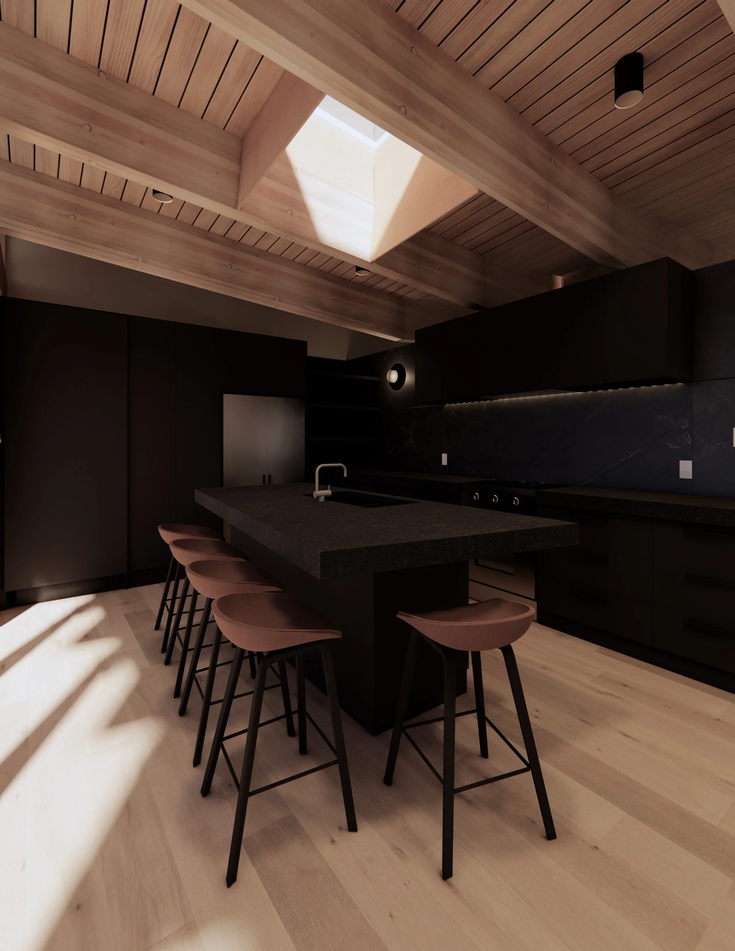 Geode Laneway_Kitchen Skylight 3.jpg