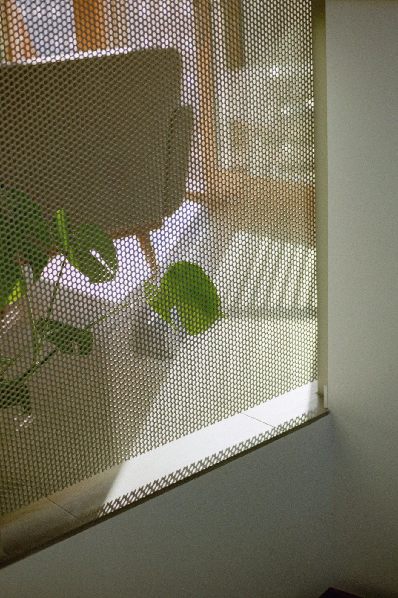 119_Slope Reno-083.jpg