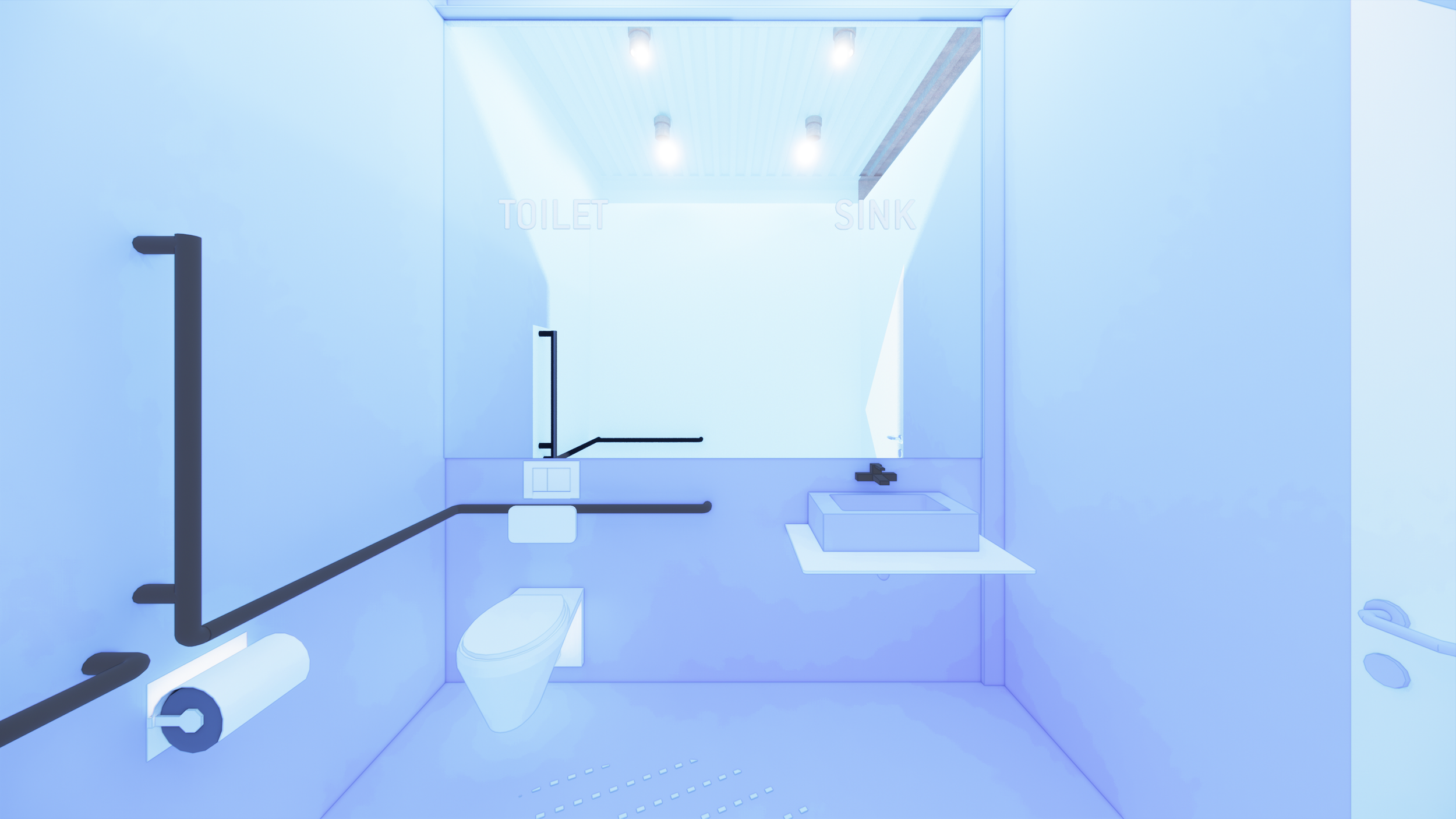 Modern accessible bathroom with black grab bars, a toilet, a sink, and a large mirror, illuminated by ceiling lights.
