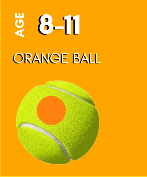 Quickstart Guide — The Tennis and Fitness Centre of Oak Park & River Forest