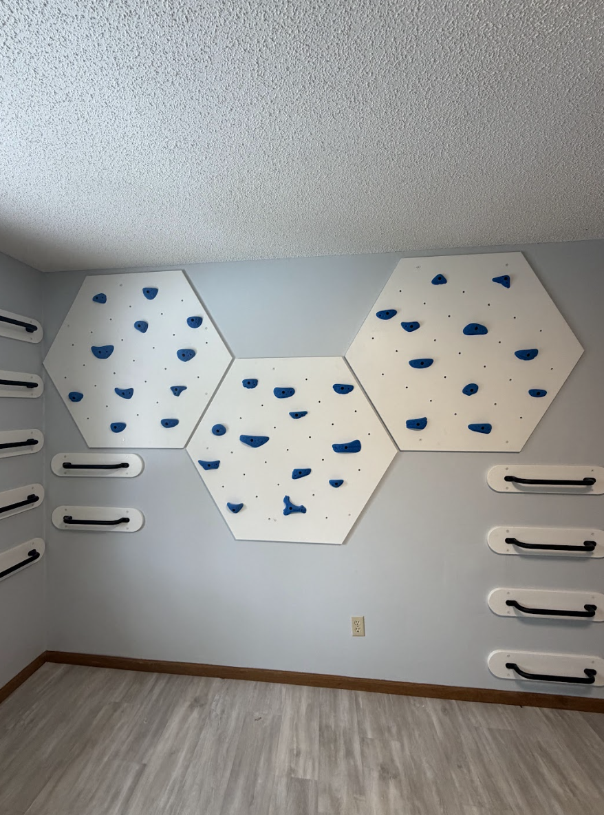 Rock Climbing Wall - Panel