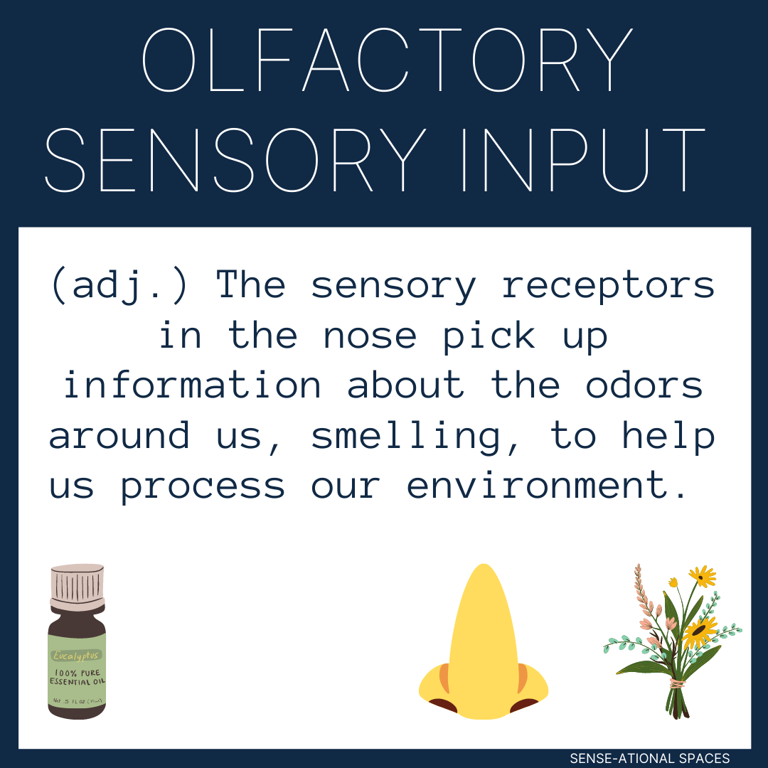 Olfactory Sensory System — SENSE-ational Spaces