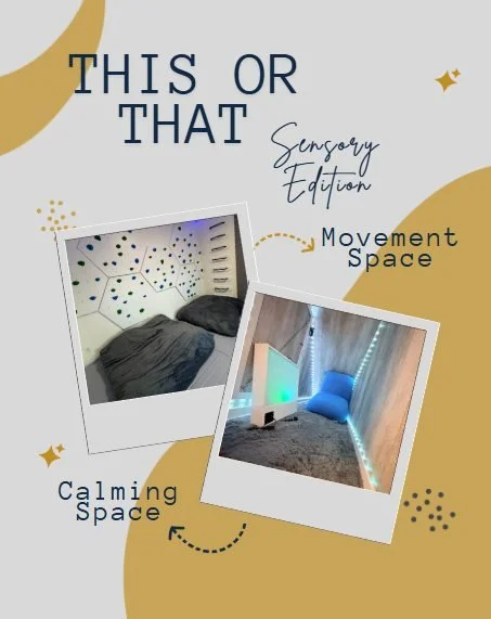 This or That: Sensory Edition 

Movement Space or Calming Space?
Mini Rebounder or Large Rebounder?
Steamroller or Hug Canoe?
Light Table or Interactive Light Board?
Lego Wall or Magnetic Chalkboard Wall?
Platform Swing or Glider Swing?

There's no r