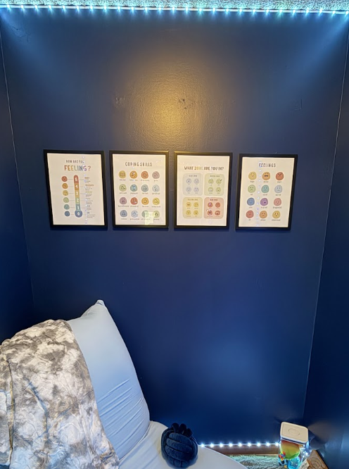 Emotional Regulation Posters (International Size)