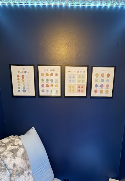 Emotional Regulation Posters (3x4)