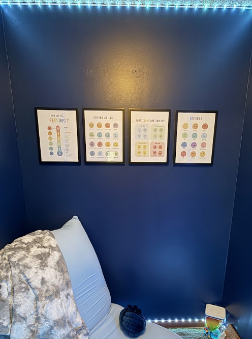 Emotional Regulation Posters (11x14)