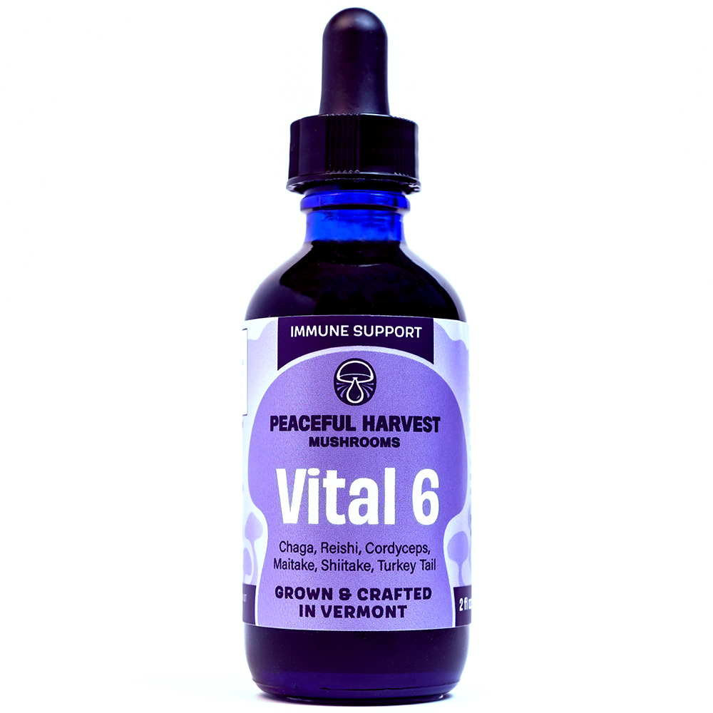 Vital 6 Tincture — Peaceful Harvest Mushrooms