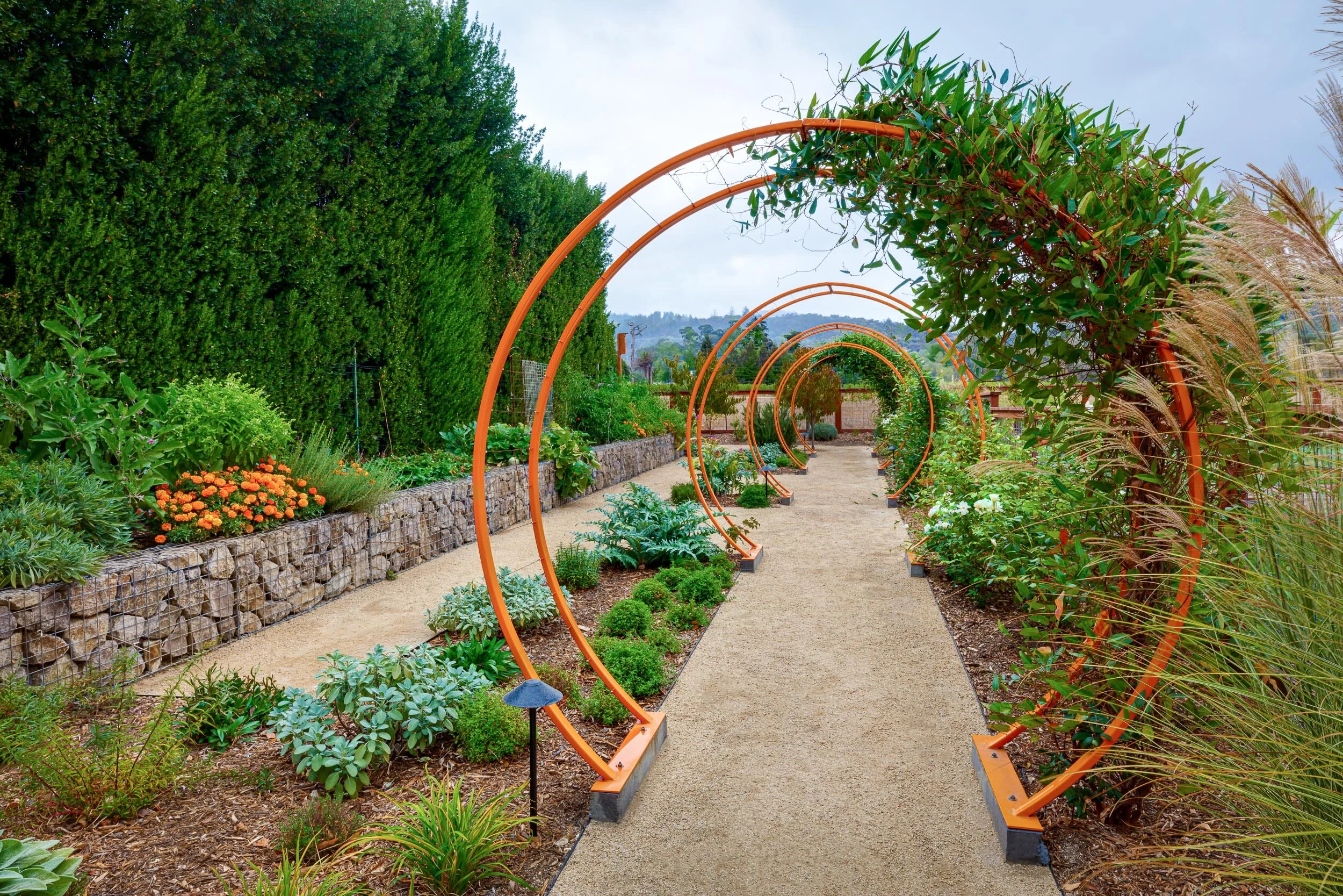 sonoma green design-03.jpg