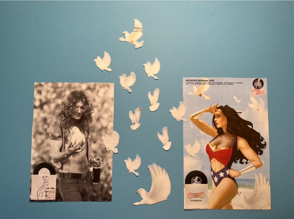 Wonder Woman Wondering if the Doves at the Concert Are Okay Carousel Sixteen.jpeg