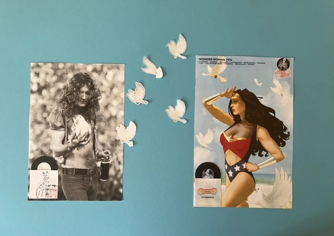 Wonder Woman Wondering if the Doves at the Concert Are Okay Carousel Seventeen.jpeg