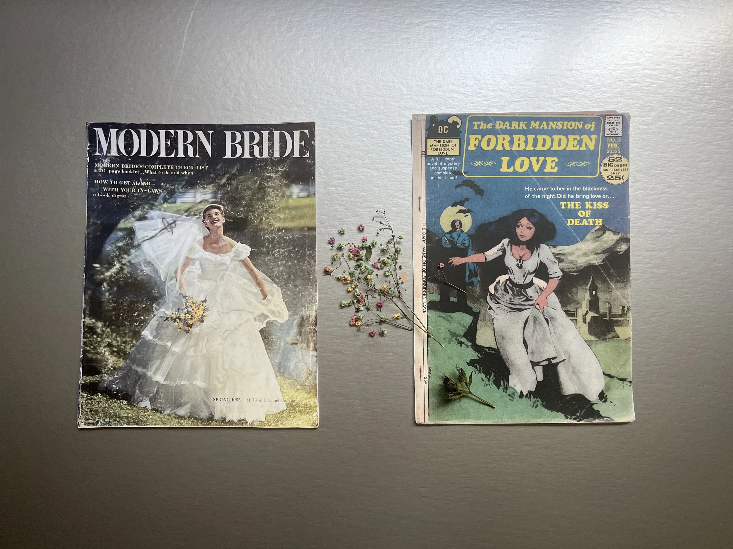 Bridal Ballad silver magazine and comic covers.jpeg