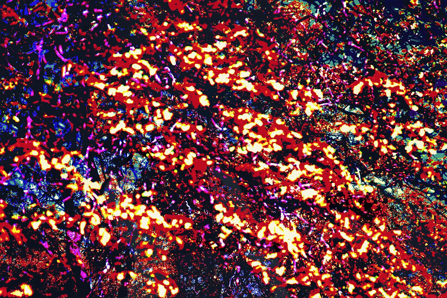 2020_SUBLIMINAL_PROCESSING_#1_4website.jpg