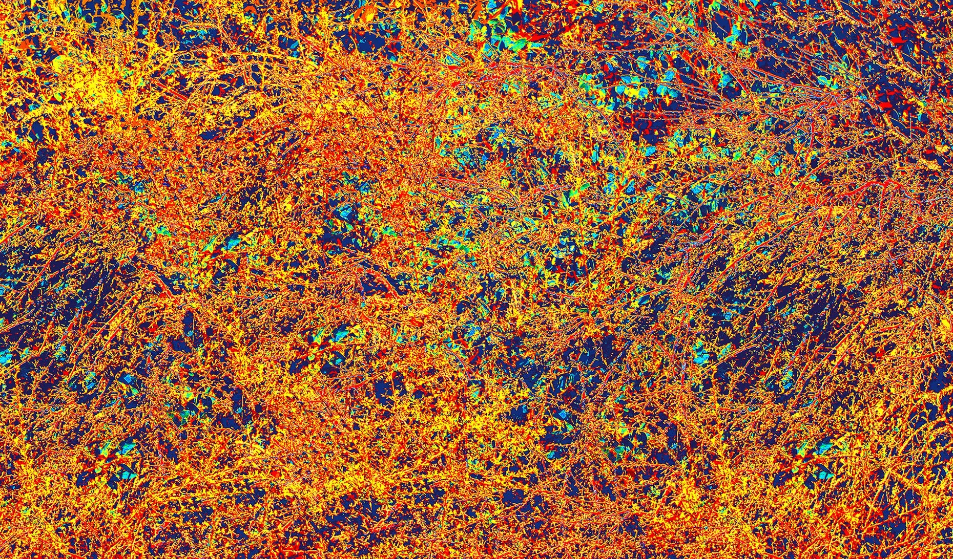 Where Chaos Is More Than Just A Theory
