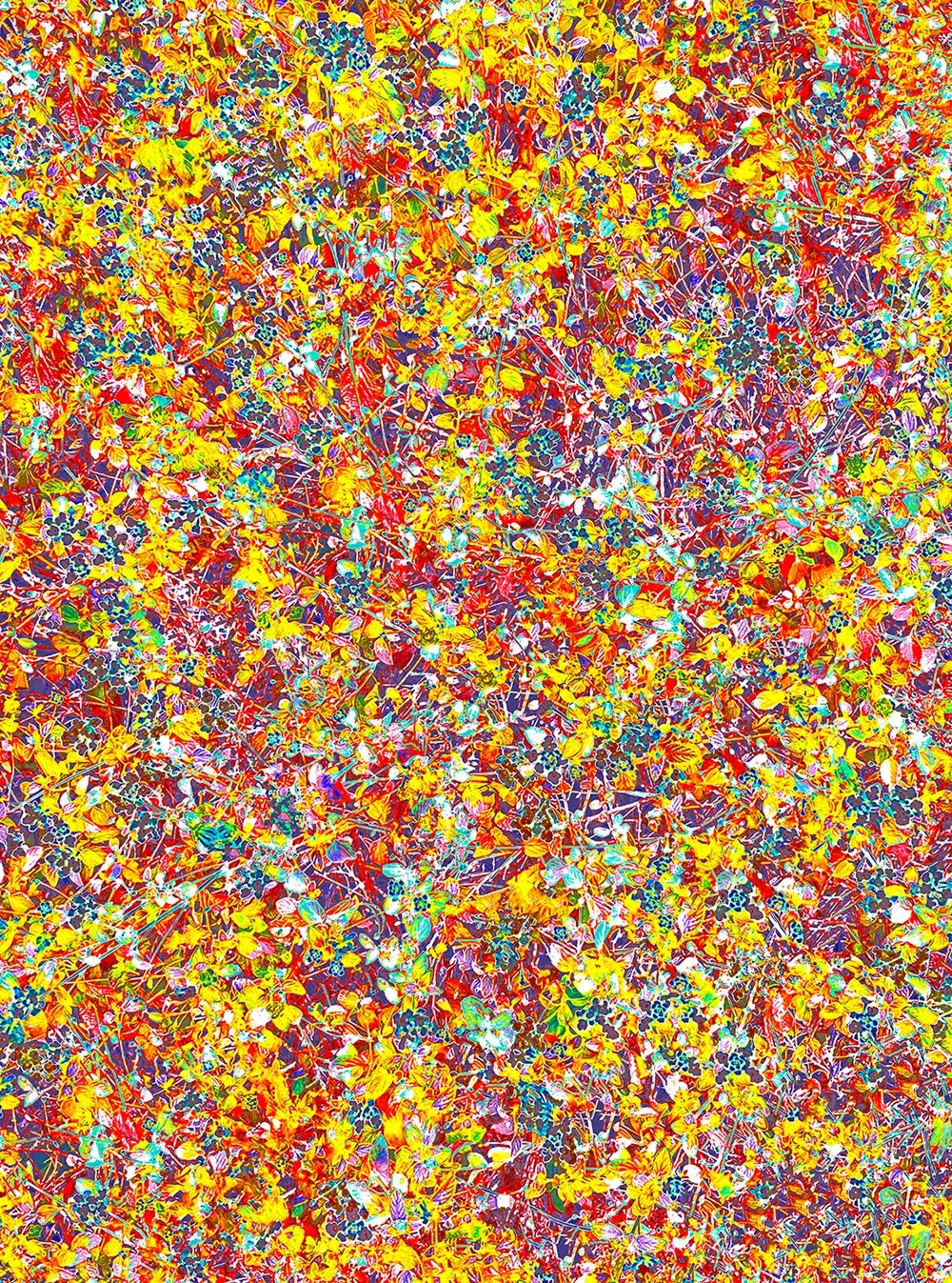 Subliminal Processing 65  (2025)