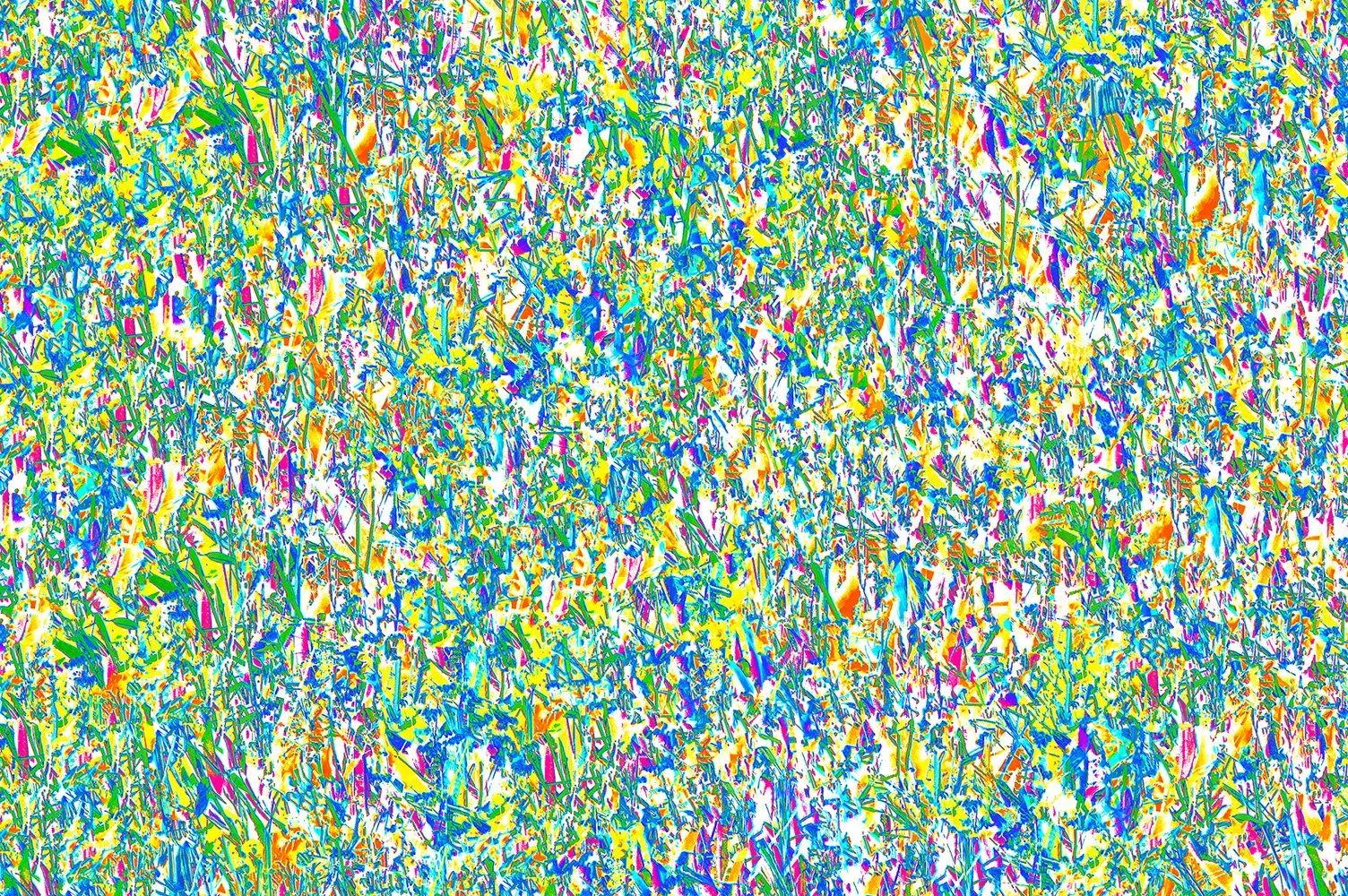 Where Everyone Blends In By Not Blending In