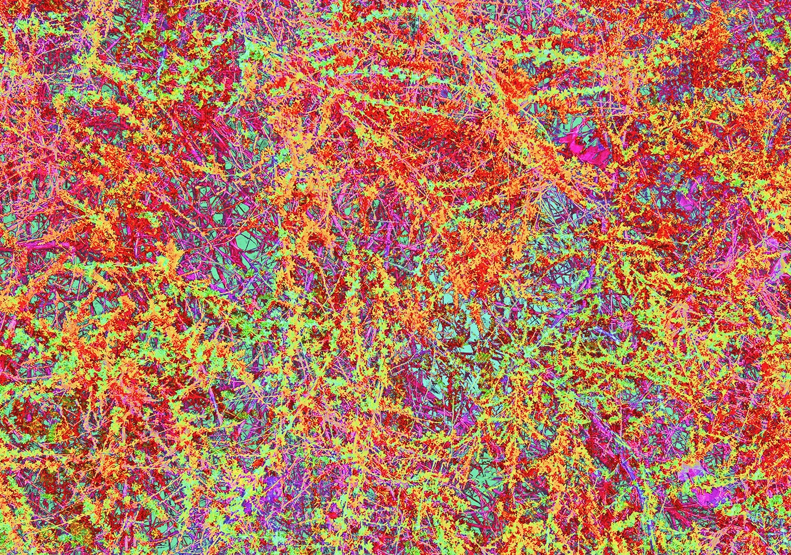 Deep In The Thick Of It  (2023 - 2025)