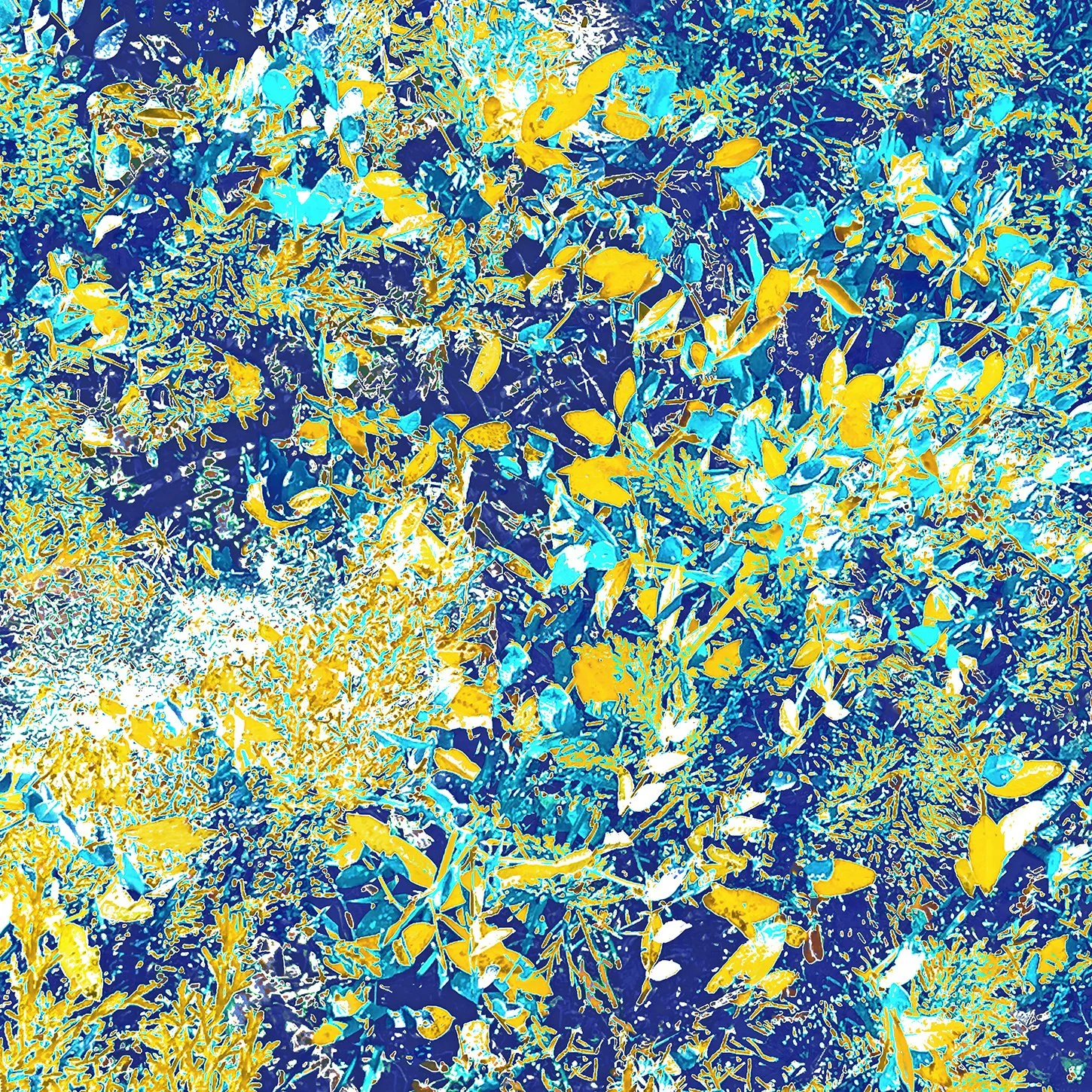 Where Air Is Fresh As Can Be.jpg