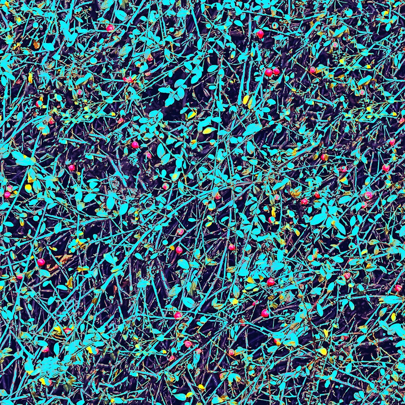 Subliminal Processing 61