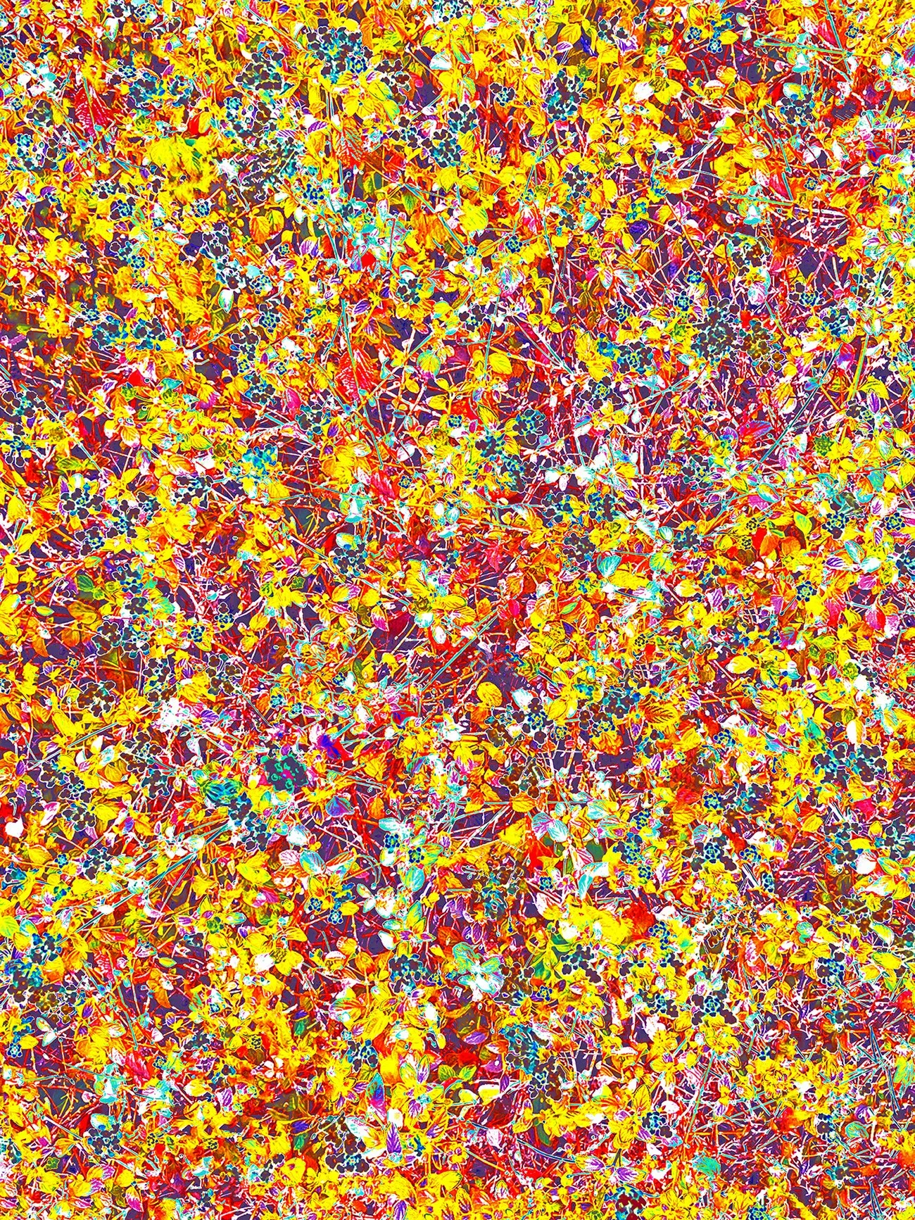 Subliminal Processing 65  (2025)