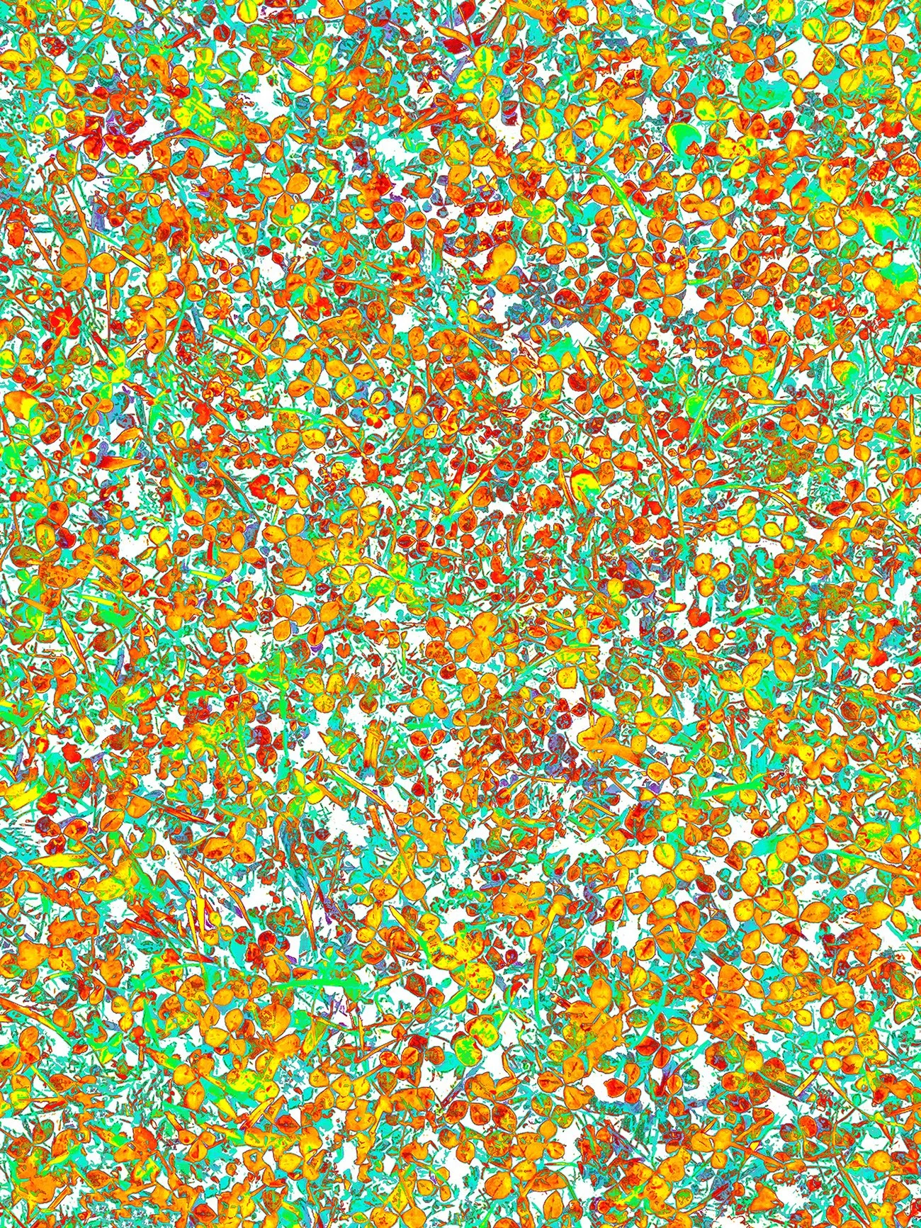 Subliminal Processing 83