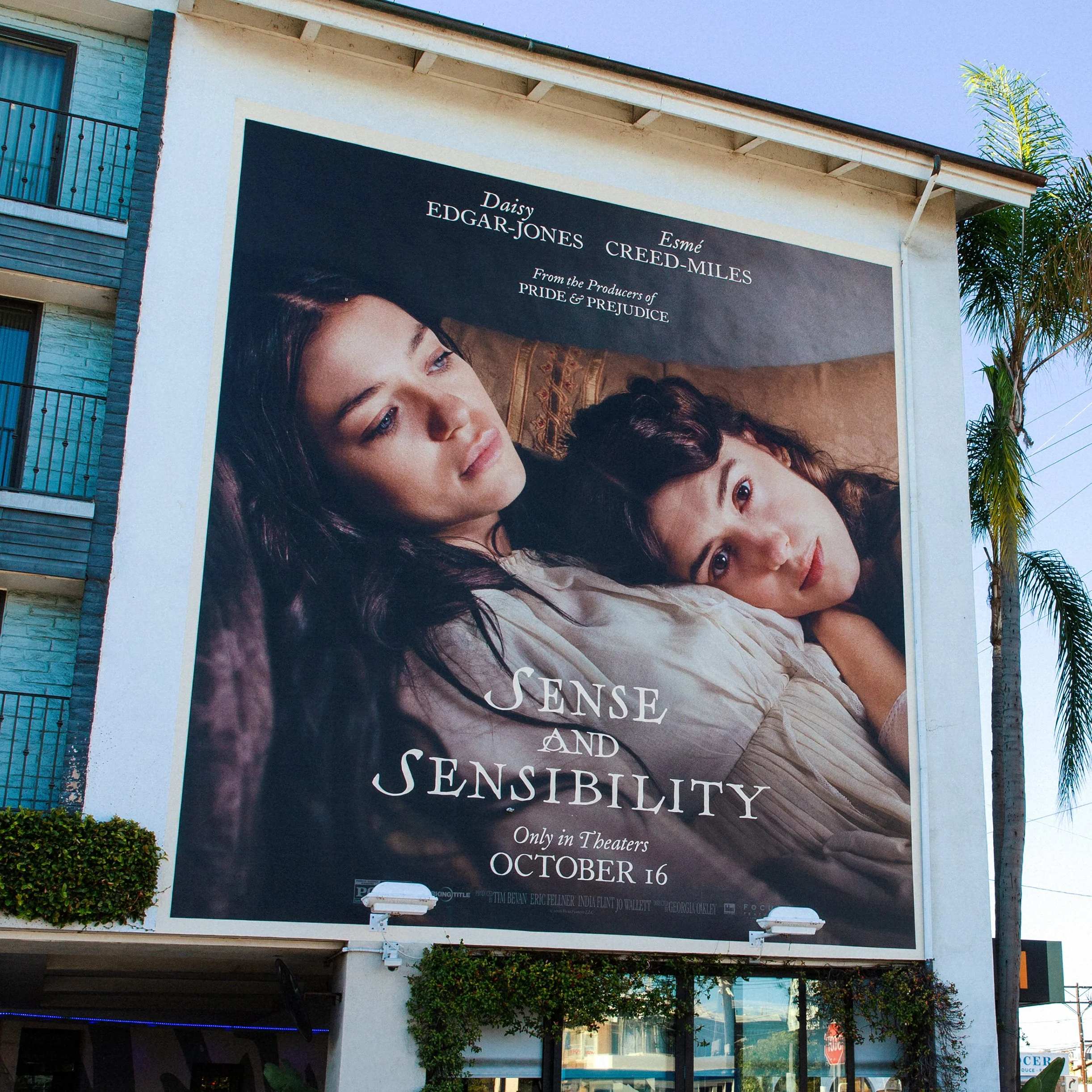 SENSE AND SENSIBILITY