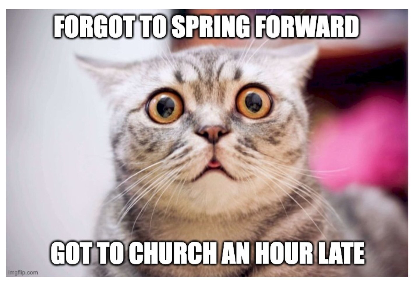 Don&rsquo;t be like this little guy!
Set your clocks forward tonight so you won&rsquo;t be late for church tomorrow 🙈

#daylightsavings #daylightsavingstime #springforward #fallback #spring #timechange #daylightsavingtime #time