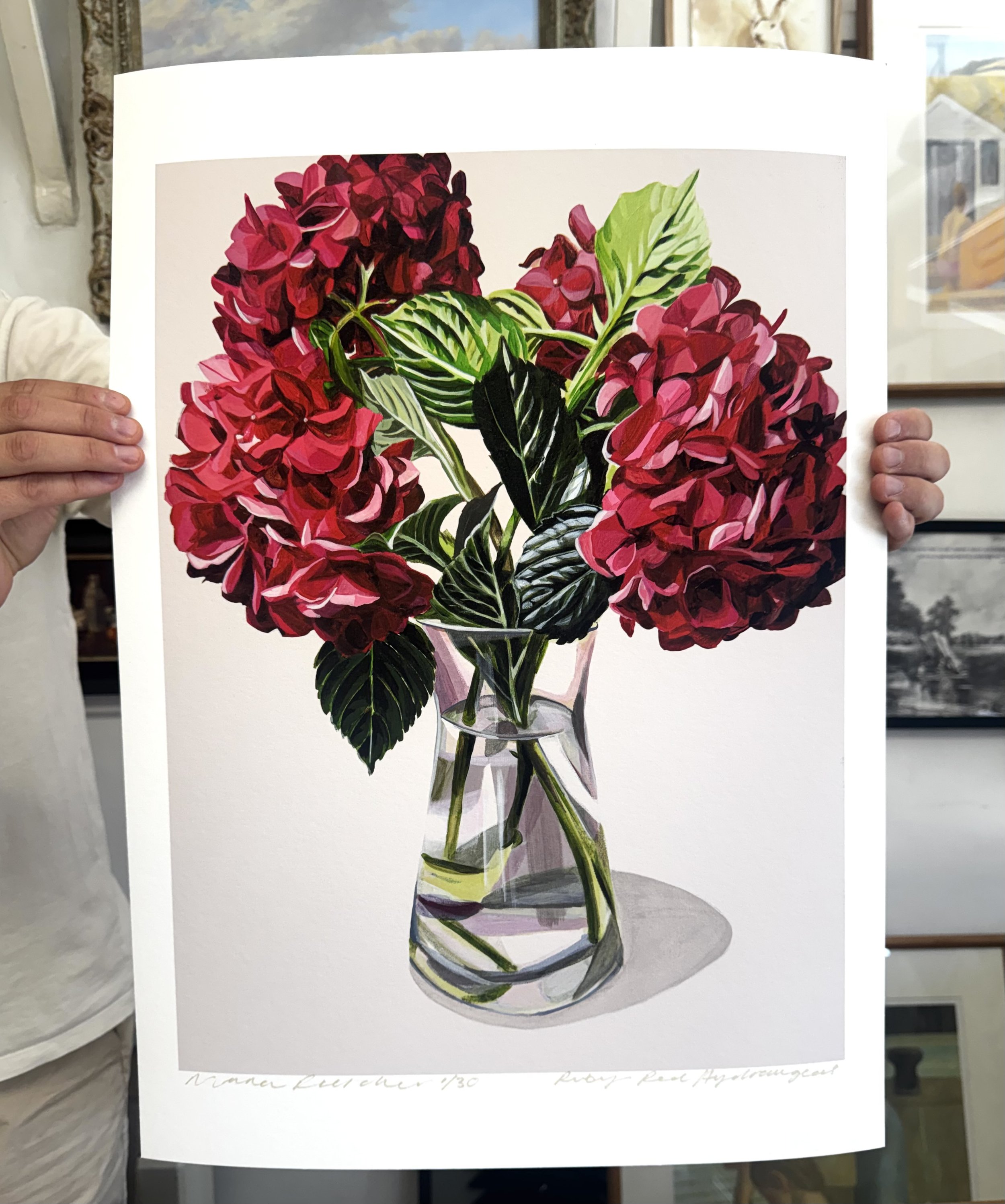 Ruby Red Hydrangeas Print