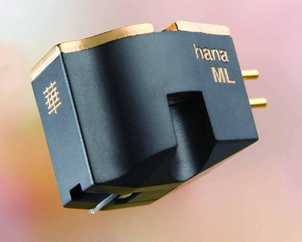 HANA ML 800X1000.jpg