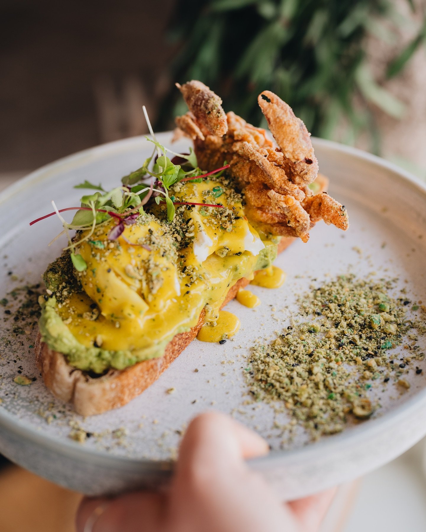 Our Eggs California in Brigg always go down a treat! Deliciously prepared soft shell crab with our signature herby hollandaise over perfectly poached eggs nestled into fresh avocado on toast 🦀 💚