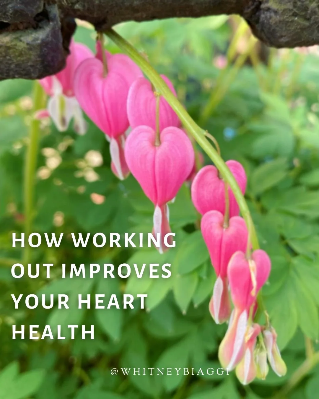 Did you know? ⬇️

Your heart pumps around 2,000 gallons of blood throughout your body per day (per DAY!). 

That&rsquo;s a pretty impressive machine that continues working without rest 24 hours a day, 7 days per week.

So, how can we keep that work e