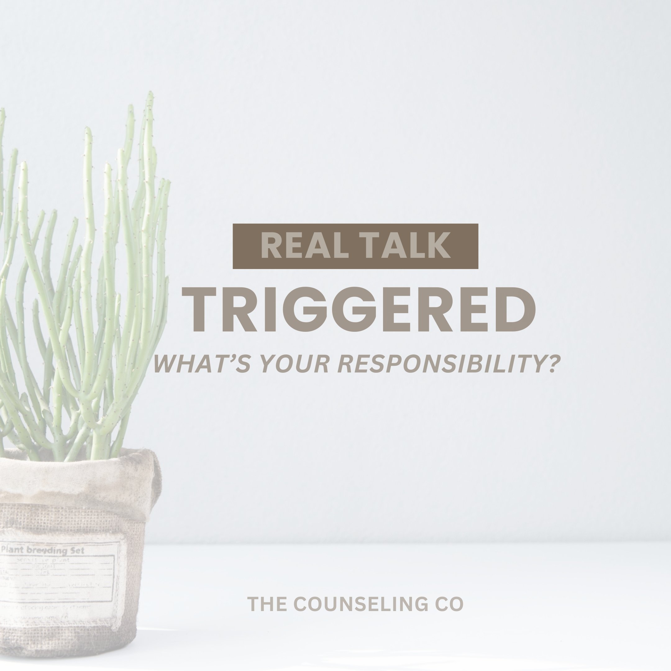 So, You’re Triggered… Now What?