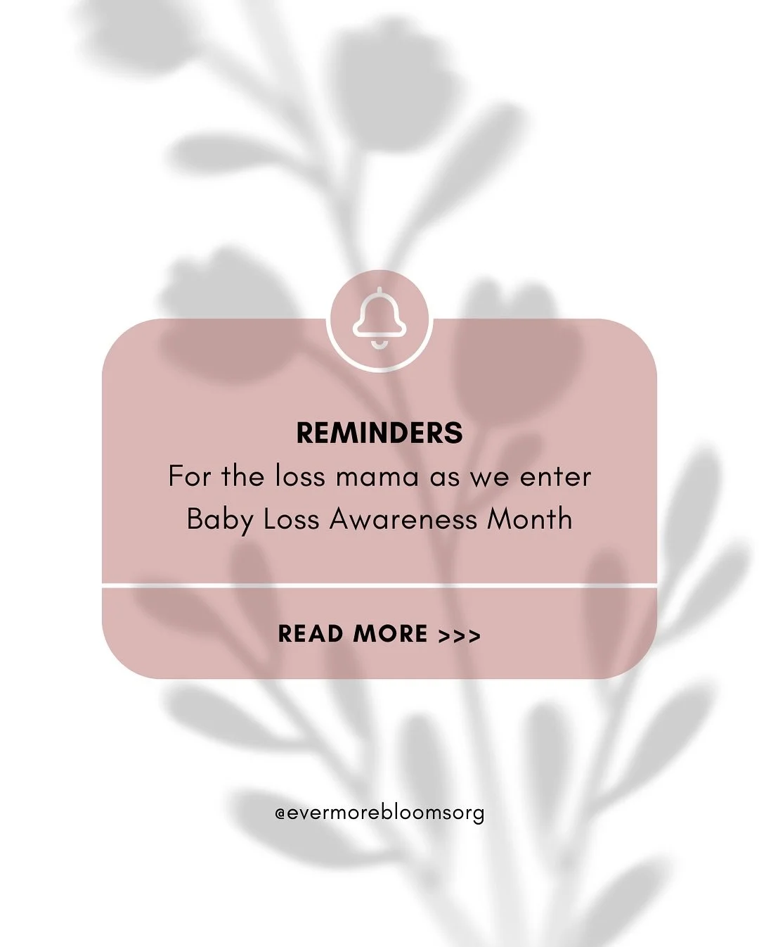 Take what you need, mama. Holding you close as we tenderly enter October together. 🤍

@evermorebloomsorg #babylossawarenessmonth #ihadamiscarriage #grief #babyloss #pregnancyandinfantlossawareness