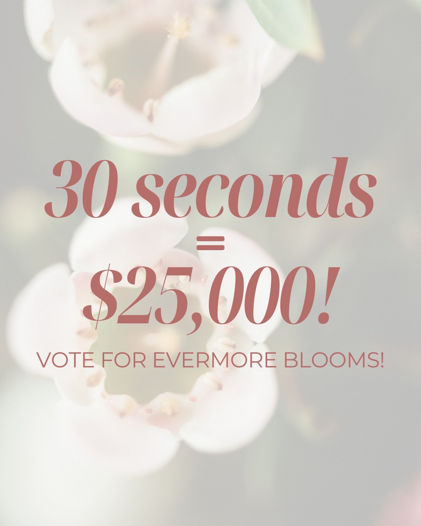 ‼️UPDATE!!! You can now vote DAILY until 7/12! We&rsquo;d be so grateful if you could vote for us each day! Link in bio! THANK YOU! 🫶💐🤍 

We&rsquo;ll keep this short and sweet: we&rsquo;re in the running for a grant from @firstintlbank ranging fro